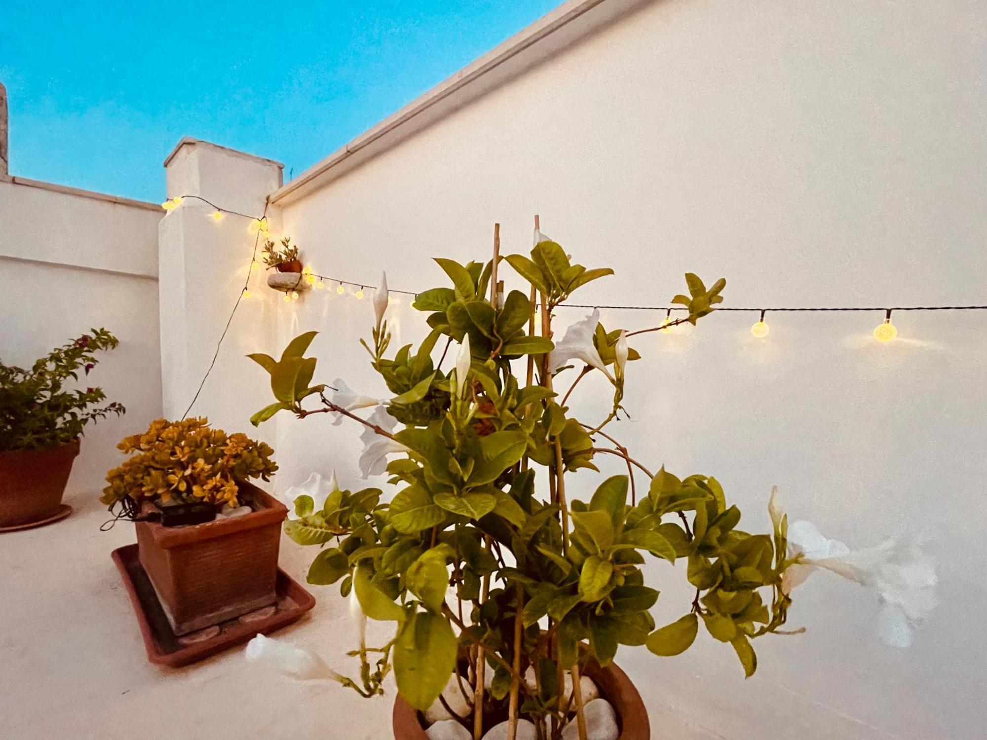 Villa Le Nicchie Bisceglie Exterior foto